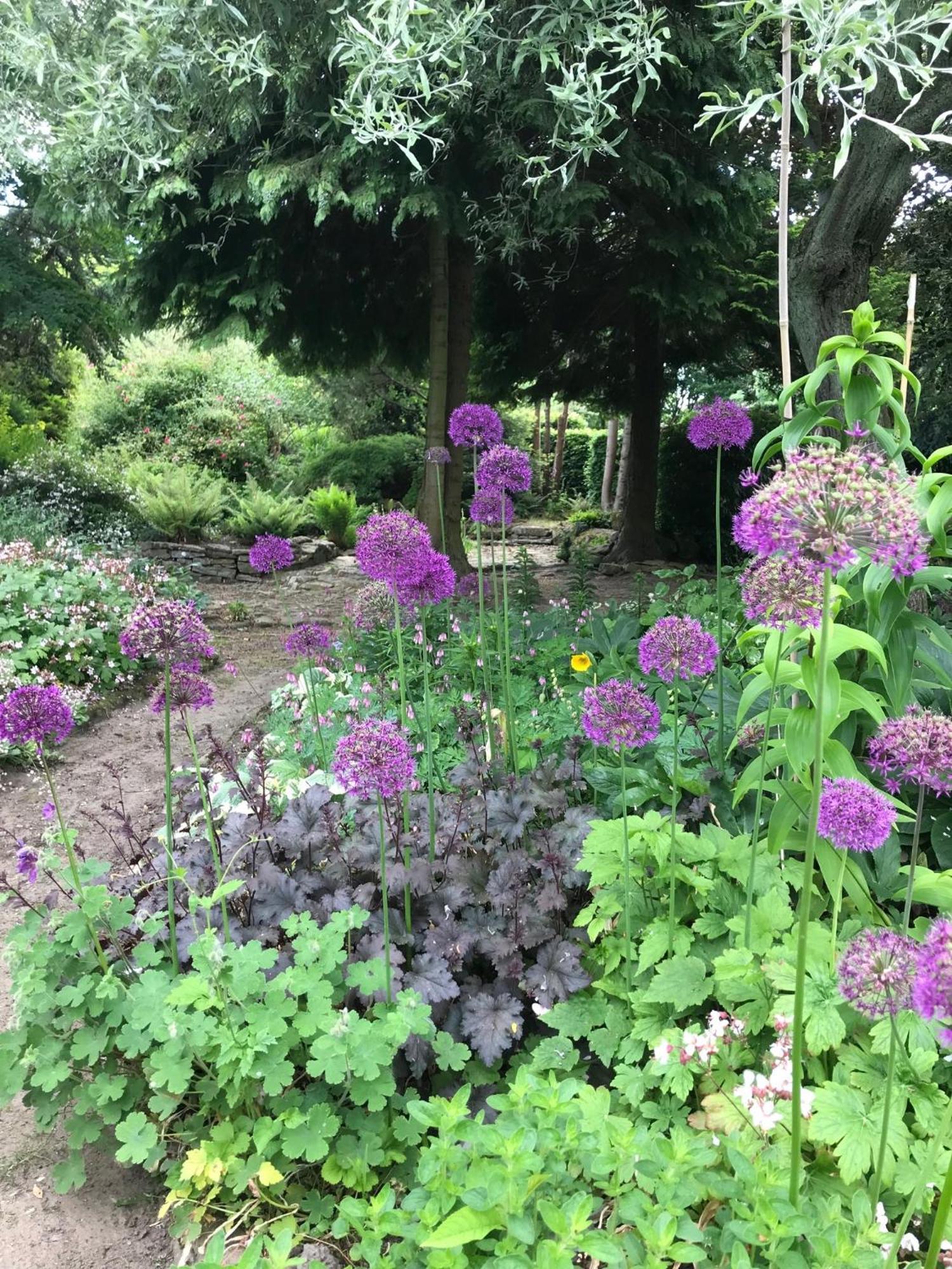 Phlomis Villa York Bagian luar foto